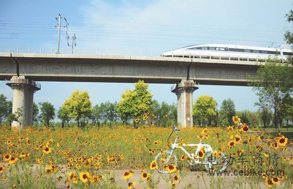 ob体育app下载好物清单给你不一样的“轻凉”夏天(图4)