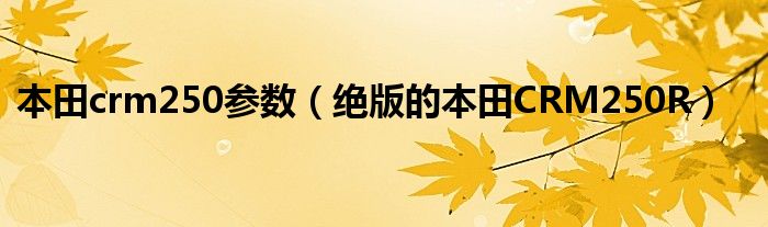 ob体育·(中国)官方网站本田crm250参数（的本田CRM250R）(图1)