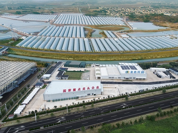 ob体育app下载开年看一线丨特大城市“新农人”的大有可为！(图3)