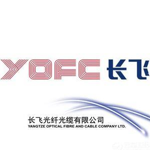 ob体育app下载防火卷帘门-电动防火卷帘门-新恒邦(图1)