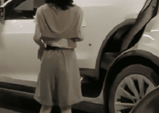ob体育app下载特斯拉停在车库鸥翼门难住女车主看到关门方式想到卷帘门(图4)