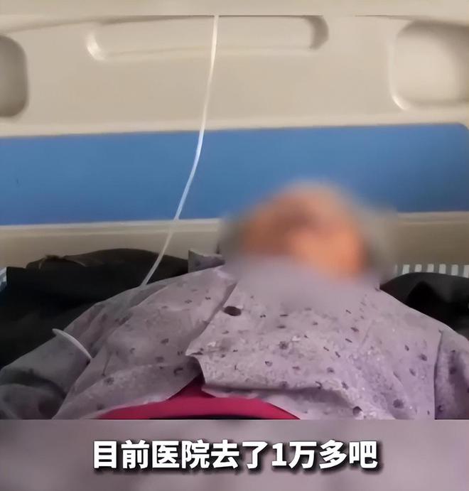 ob体育app下载78岁老人参加超市促销导致肋骨折了五根家属向超市索赔一万元(图5)