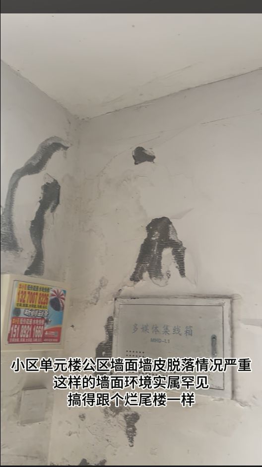 ob体育·(中国)官方网站盐城嘉业上郡小区乱象物业是一点不管事啊？(图2)