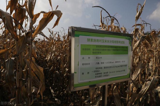 ob体育app下载4所985大学王牌专业被嫌弃5所本科毕业生薪资超985怎么回事(图3)